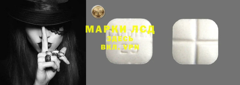 стаф Баксан