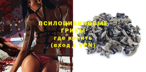 стаф Баксан