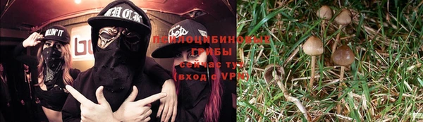 стаф Баксан
